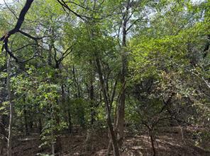 129 Old Ida Road - Photo 40