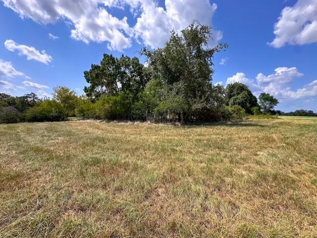 0 An County Road 437 - Photo 10