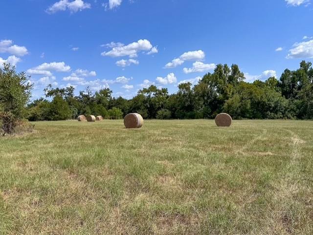0 An County Road 437 - Photo 12