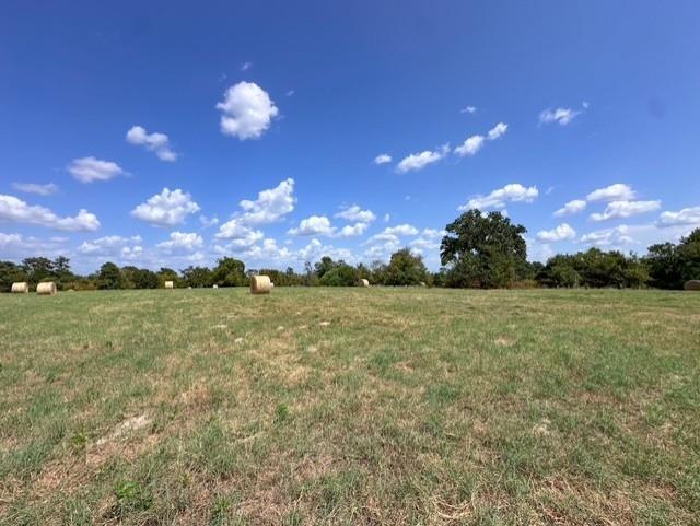 0 An County Road 437 - Photo 13