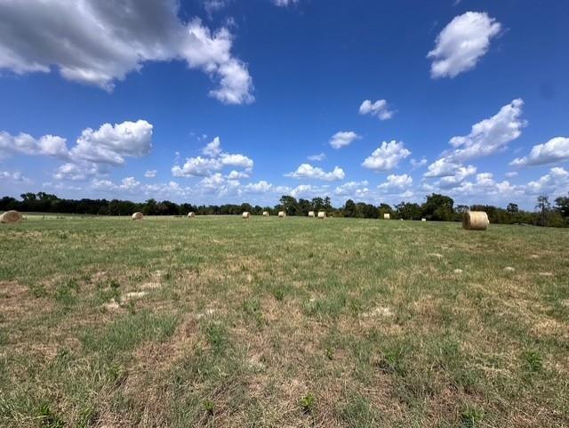 0 An County Road 437 - Photo 14