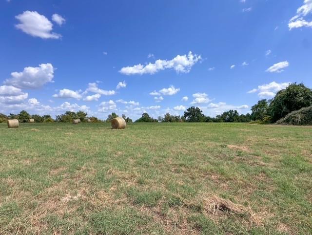 0 An County Road 437 - Photo 16