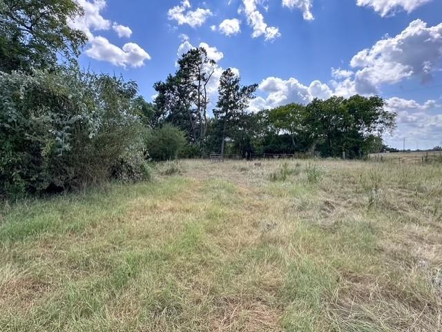 0 An County Road 437 - Photo 19