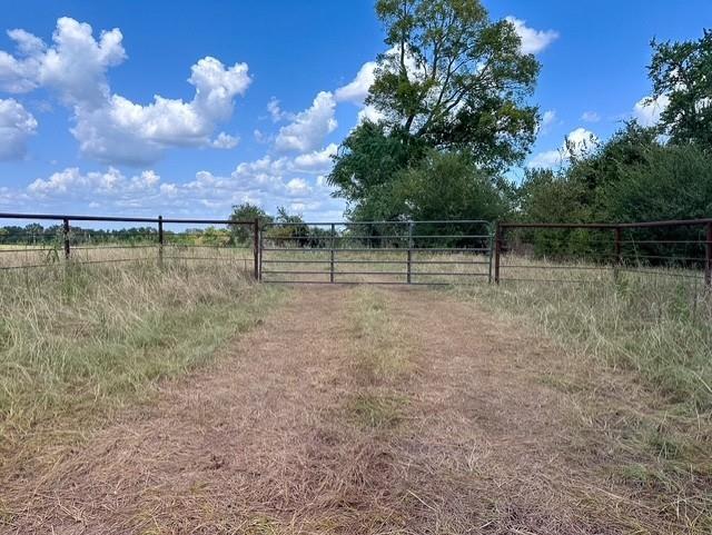 0 An County Road 437 - Photo 2