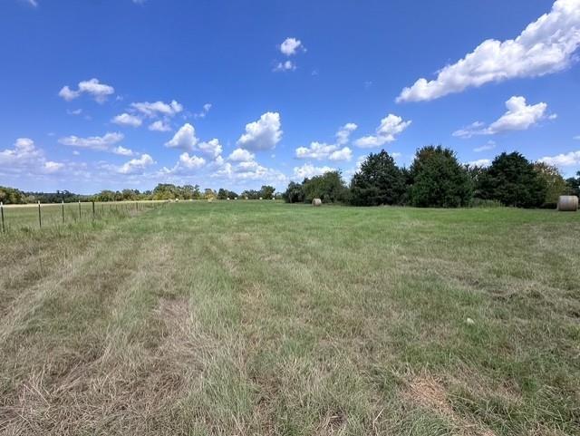 0 An County Road 437 - Photo 22