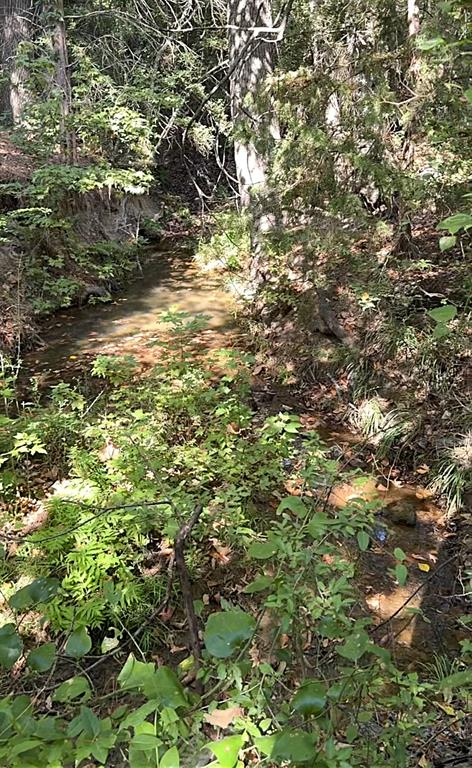 0 An County Road 437 - Photo 23