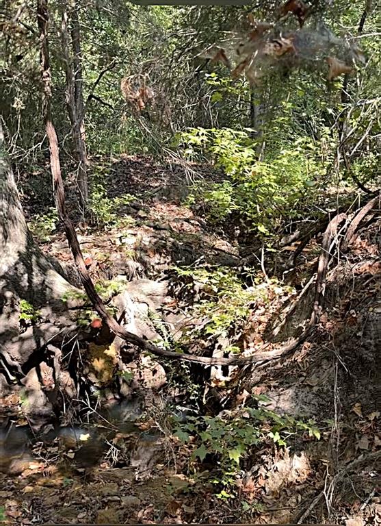 0 An County Road 437 - Photo 24