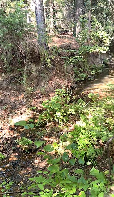 0 An County Road 437 - Photo 25
