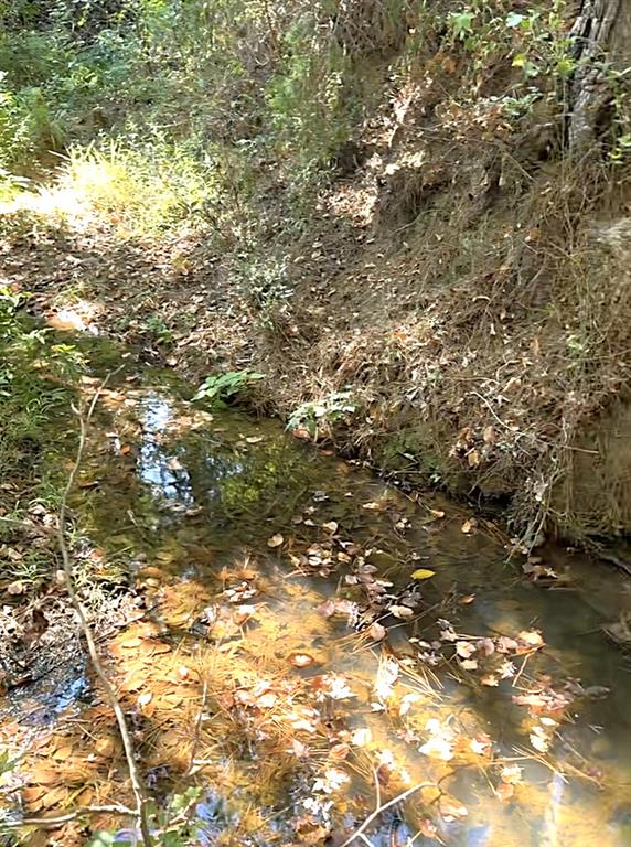 0 An County Road 437 - Photo 28