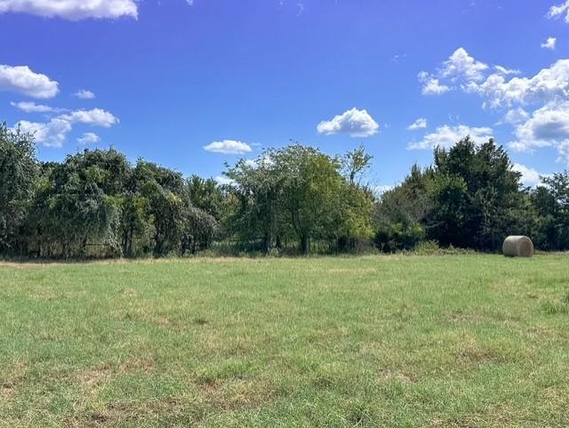 0 An County Road 437 - Photo 5