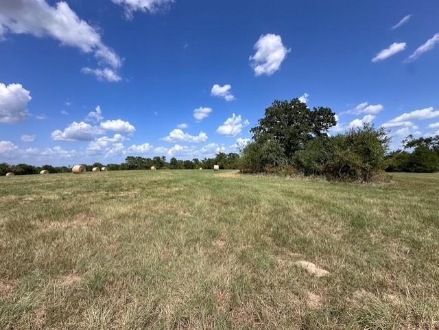 0 An County Road 437 - Photo 7