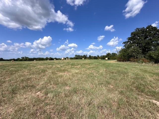 0 An County Road 437 - Photo 8