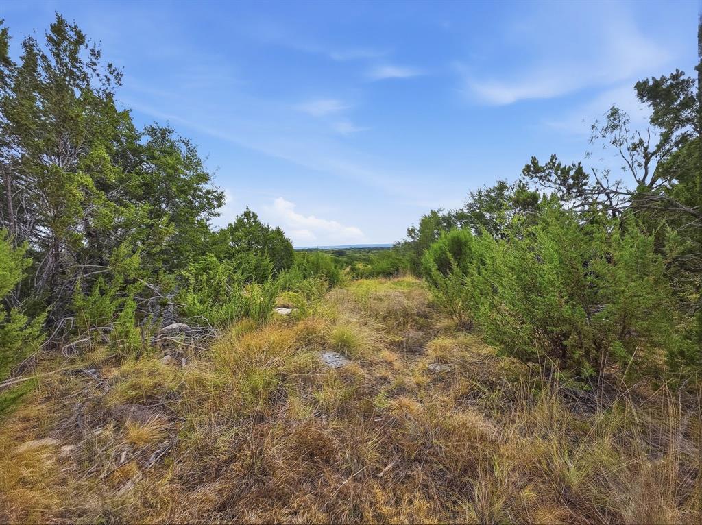 Lot 1 County Road 607 - Photo 1