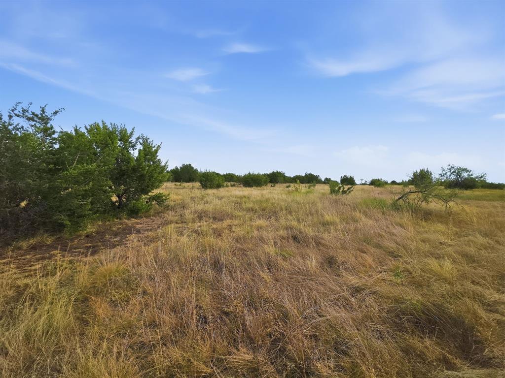 Lot 1 County Road 607 - Photo 2