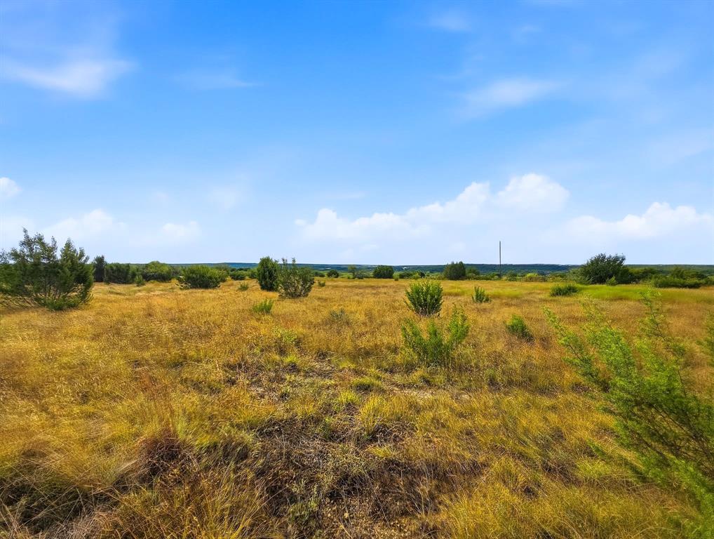 Lot 1 County Road 607 - Photo 4