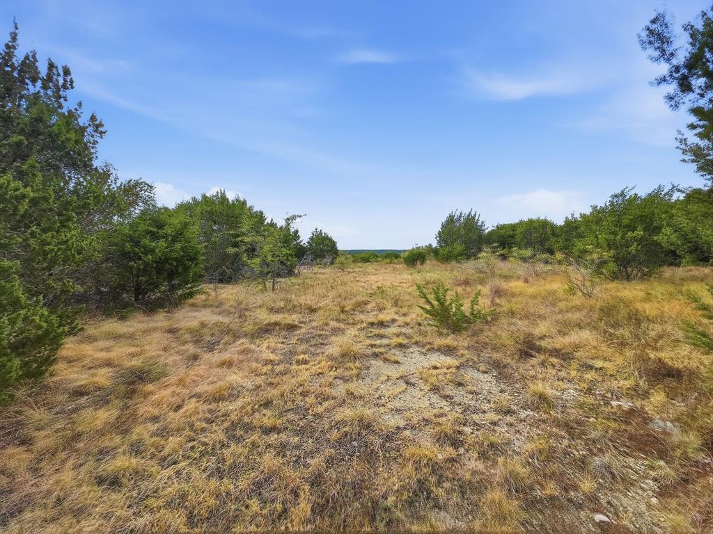 Lot 1 County Road 607 - Photo 6