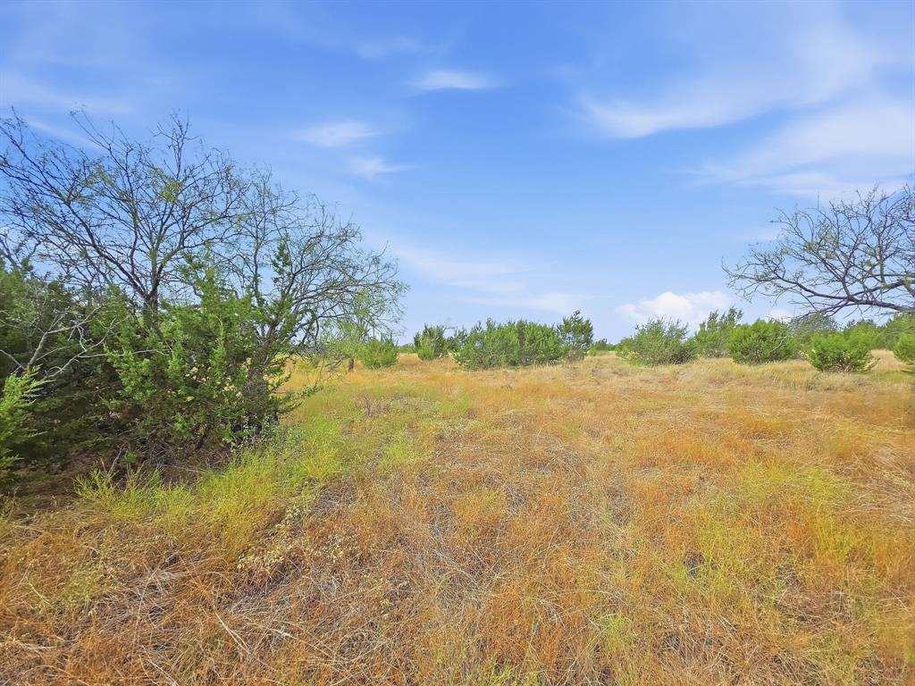 Lot 1 County Road 607 - Photo 7