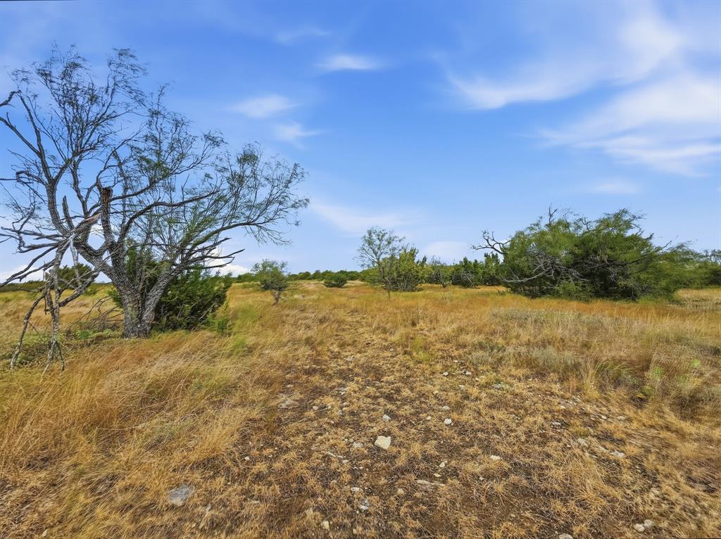 Lot 1 County Road 607 - Photo 8