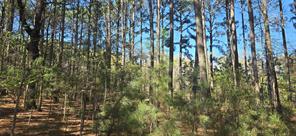 8300 Trophy Point - Photo 10