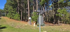 8300 Trophy Point - Photo 12