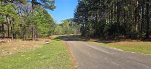 8300 Trophy Point - Photo 13