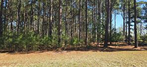 8300 Trophy Point - Photo 3