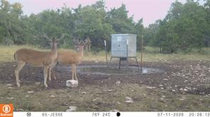 65 Miles Lane - Photo 6