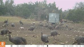65 Miles Lane - Photo 7