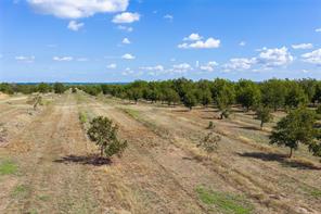 TBD FM 2861 & CR 418C - Photo 10