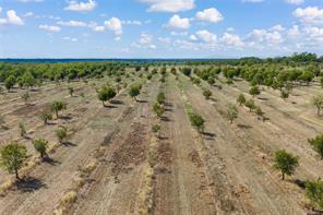 TBD FM 2861 & CR 418C - Photo 18