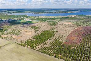 TBD FM 2861 & CR 418C - Photo 7
