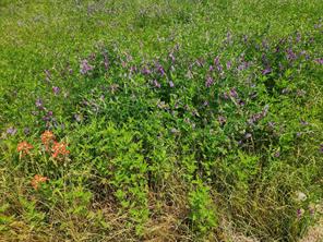 Lot 125 Clear View Court - Photo 12