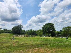 Lot 125 Clear View Court - Photo 13