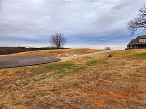 Lot 125 Clear View Court - Photo 22
