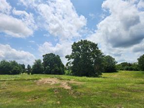 Lot 125 Clear View Court - Photo 3