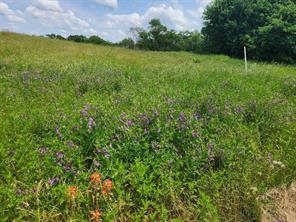 Lot 125 Clear View Court - Photo 4