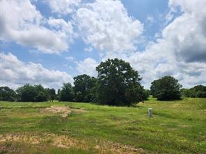 Lot 125 Clear View Court - Photo 8
