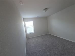 1322 Cress Garden Lane - Photo 16