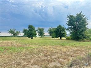 TBD Fairway Lane - Photo 5