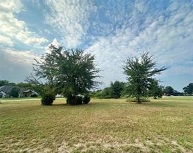 TBD Fairway Lane - Photo 6