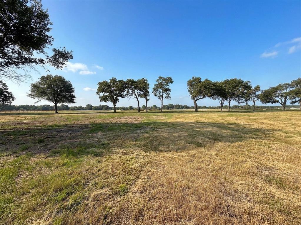 Lot 98 The Landings on Richard Chambers Lake - Photo 6