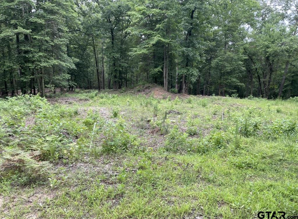 1688 County Road 1597 - Photo 10