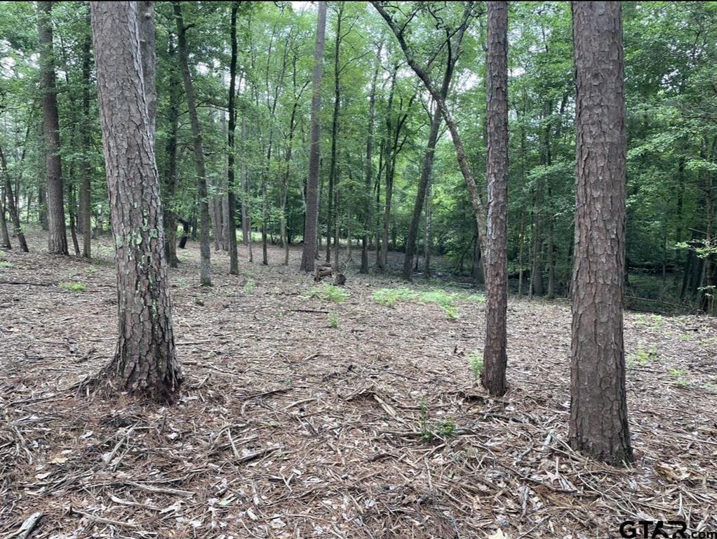 1688 County Road 1597 - Photo 11