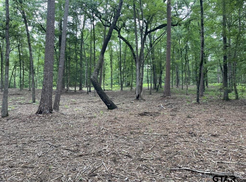 1688 County Road 1597 - Photo 12