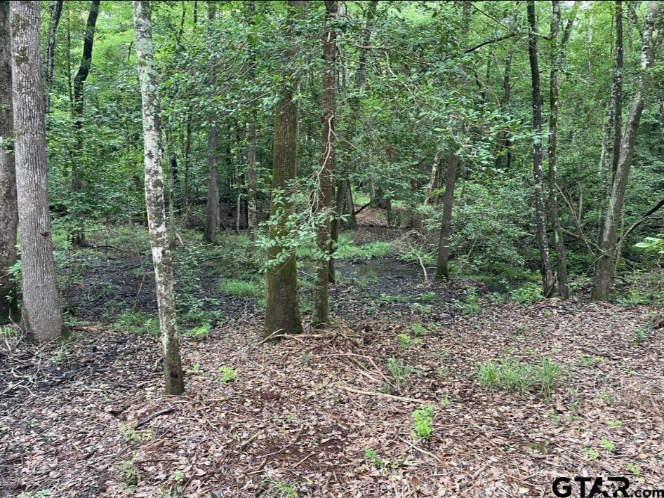 1688 County Road 1597 - Photo 14