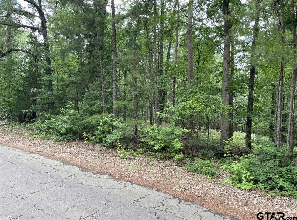 1688 County Road 1597 - Photo 15