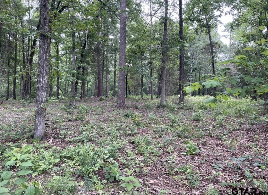 1688 County Road 1597 - Photo 17