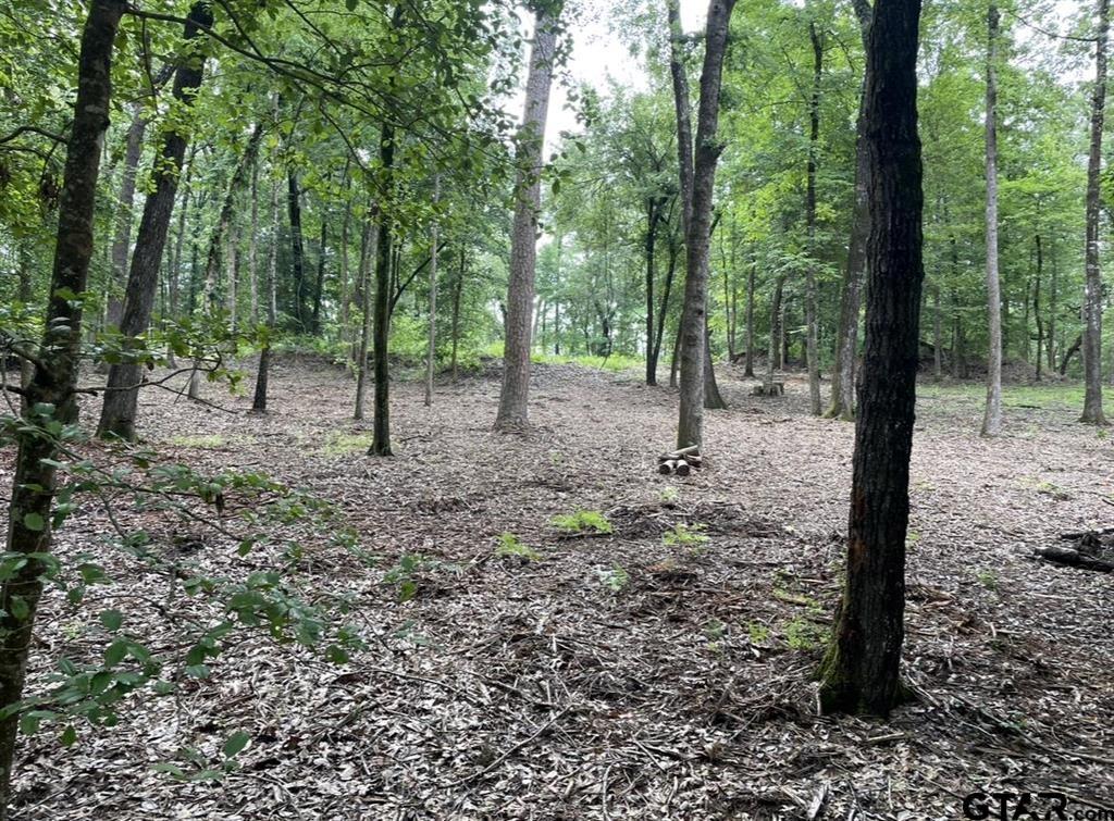 1688 County Road 1597 - Photo 20