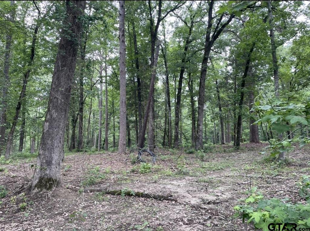 1688 County Road 1597 - Photo 21