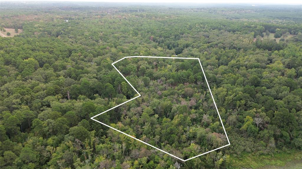 1688 County Road 1597 - Photo 23